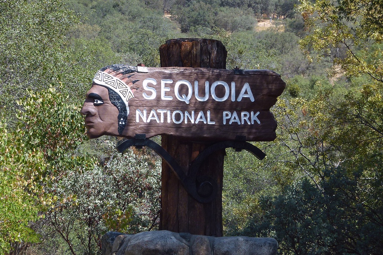 Camping at the famous Sequoia kings canyon national parks